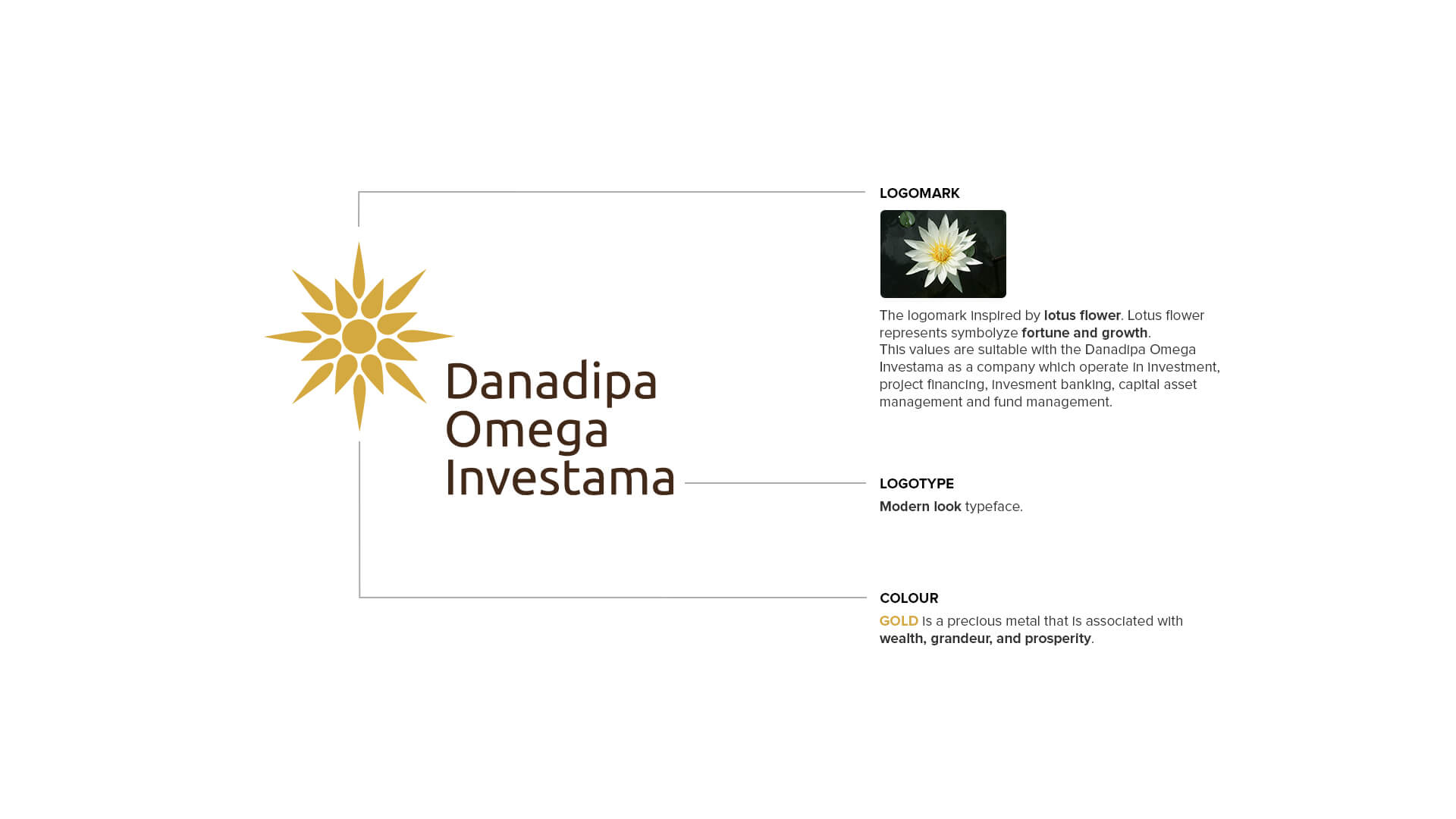 doi-logo